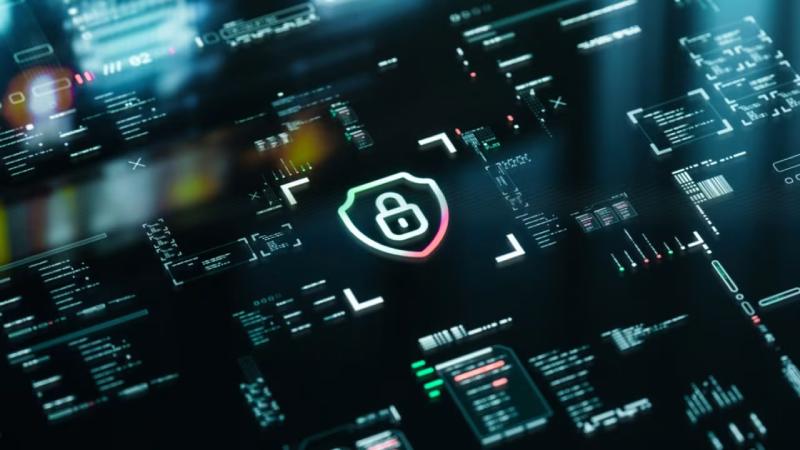 桂林软件开发公司